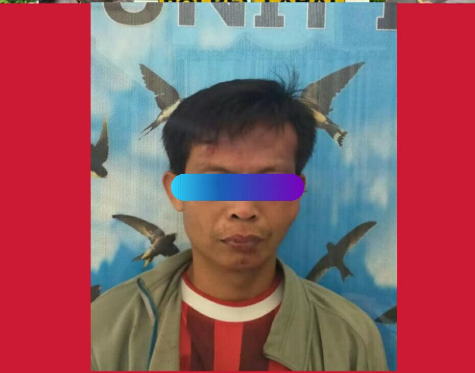 Nyambi Kurir Sabu, Seorang Petani di Desa Ngalam Baru Diringkus Tim Walet Polres Lahat