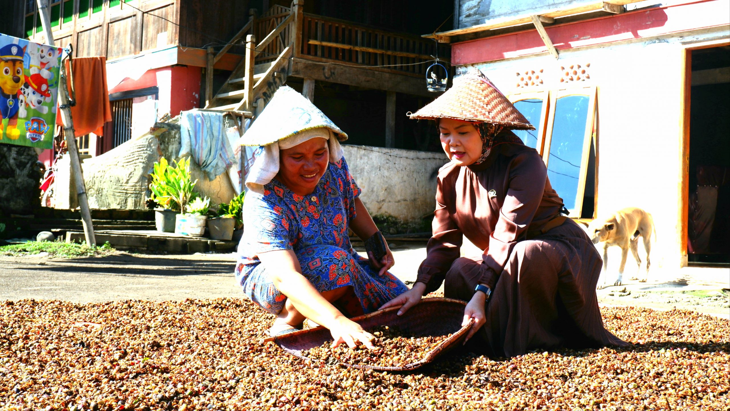Antara Yuk Meli, Prabowo Subianto, dan Emak-emak Penjemur Kopi