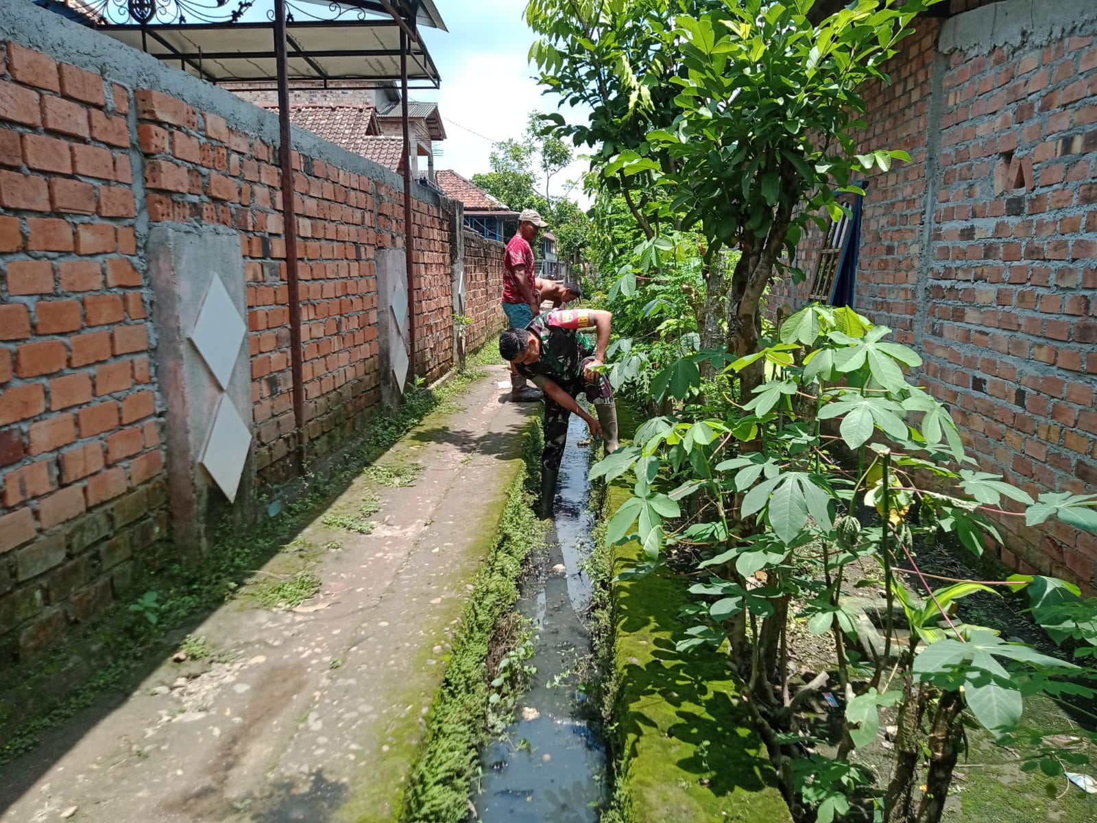Ciptakan Lingkungan Sehat, Babinsa Desa Padang Bindu Bersama Masyarakat Lakukan Gotong Royong
