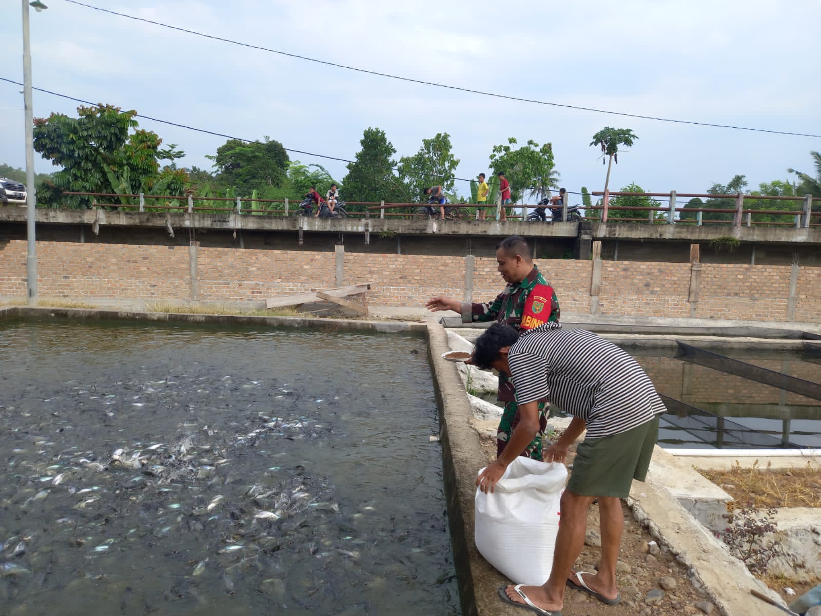 Komsos Babinsa Ke Peternak Ikan di Desa Tanjung Bulan