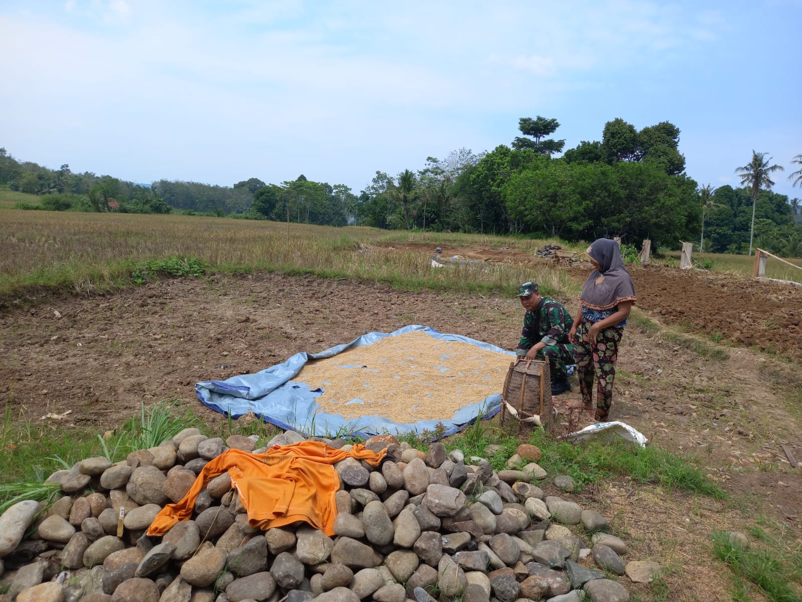 Babinsa Koramil 404-05/TE Komsos Dengan Petani di Tengah Sawah