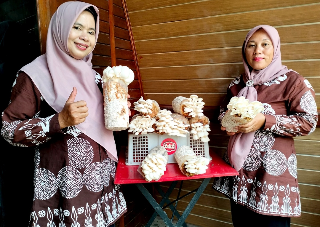 Bukit Asam (PTBA) Bantu Warga Desa Bangkitkan Usaha Jamur Tiram