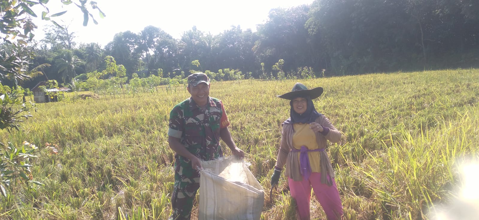 Babinsa Desa Muara Meo, Beri Motivasi Semangat Kepada Petani