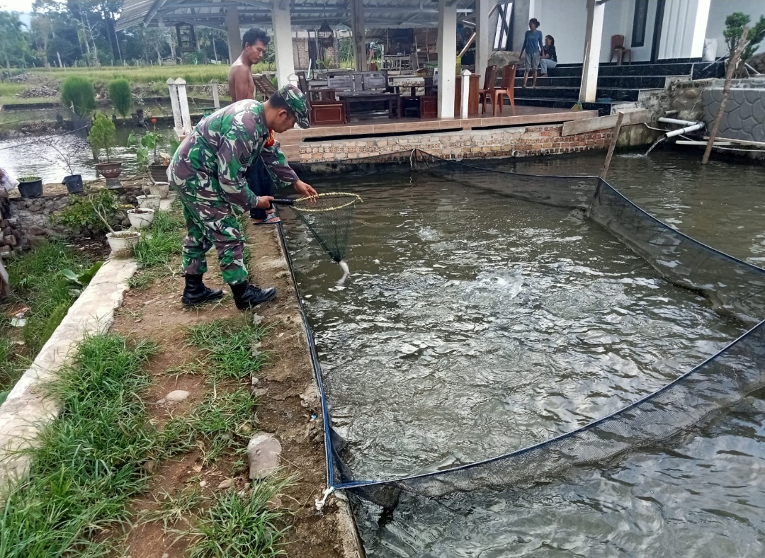 Bentuk Kepedulian dengan Petani, Babinsa Koramil TE Bantu Bersihkan Kolam Ikan