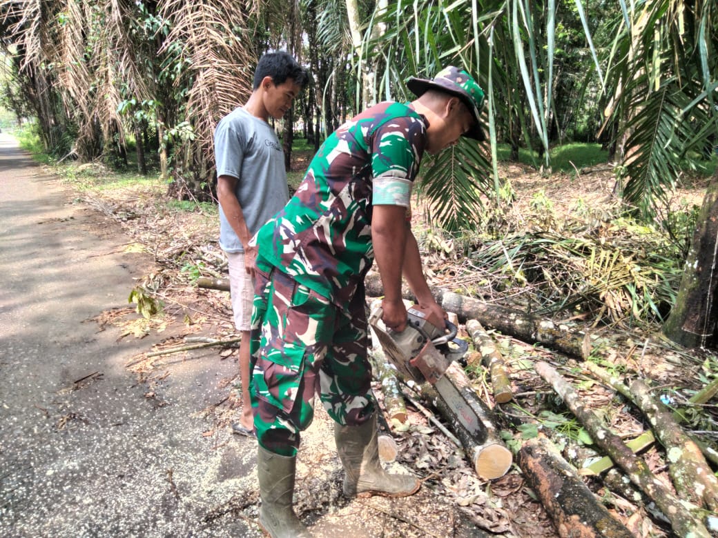Petani Desa Matas Apresiasi Aksi Cepat Babinsa Koramil 404-04/TE, Singkirkan Pohon Tumbang