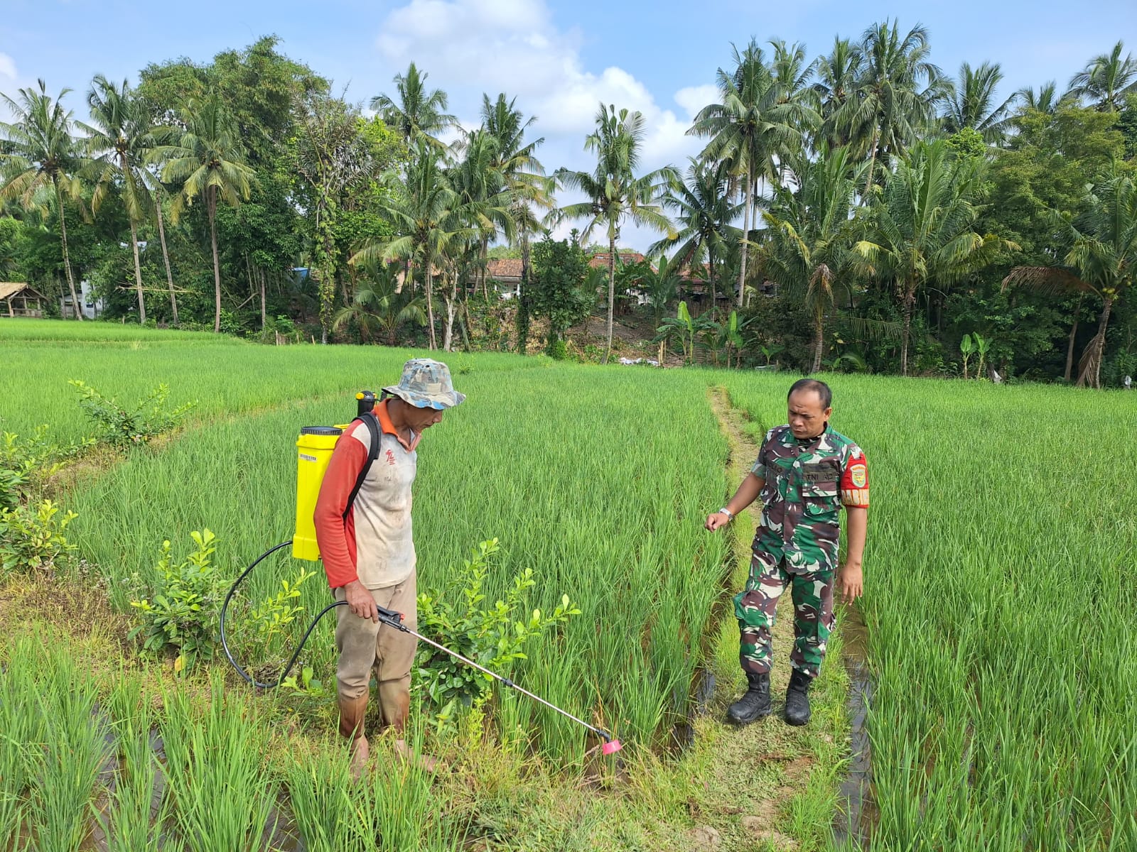 Babinsa Koramil 05/Tanjung Enim Berikan Pesan Terhadap Ketahanan Pangan di Desa Embawang