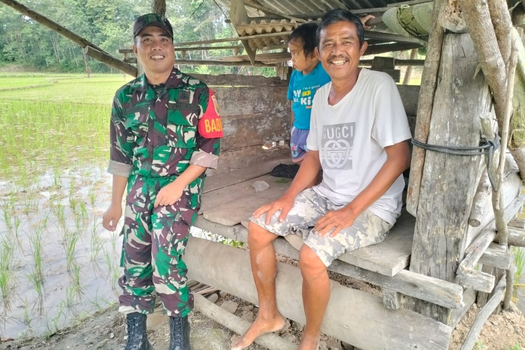Babinsa Koramil 404-05/TE, Komsos Ke Petani di Sawah
