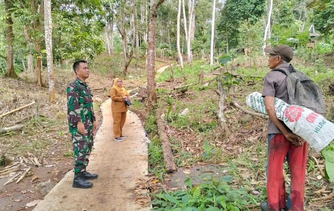 Pastikan Berjalan Baik, Babinsa Lesung Batu Tinjau Pembangunan Jalan Usaha Tani