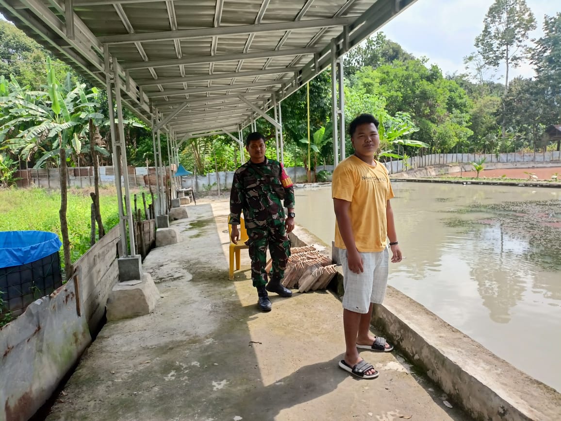 Babinsa 404-05/TE Dukung Usaha Kolam Ikan Milik Warga Desa Tanjung Karangan