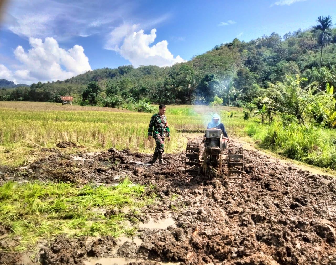 Babinsa Desa Matas Koramil 05/TE Bantu Warga Binaan Bajak Sawah