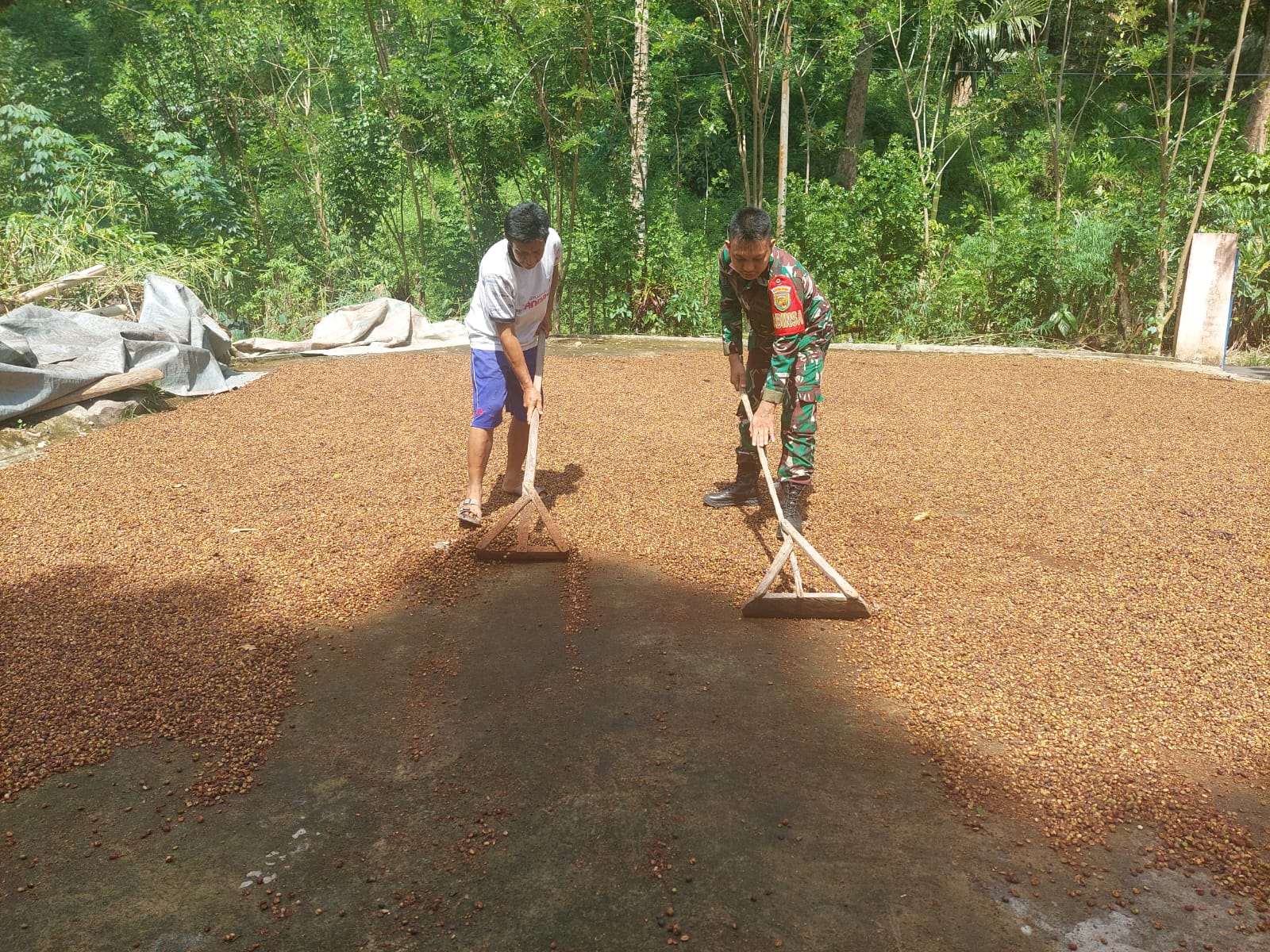 Babinsa Lubuk Nipis Koramil 05/TE Berikan Semangat Petani Tingkatkan Swasembada Pangan