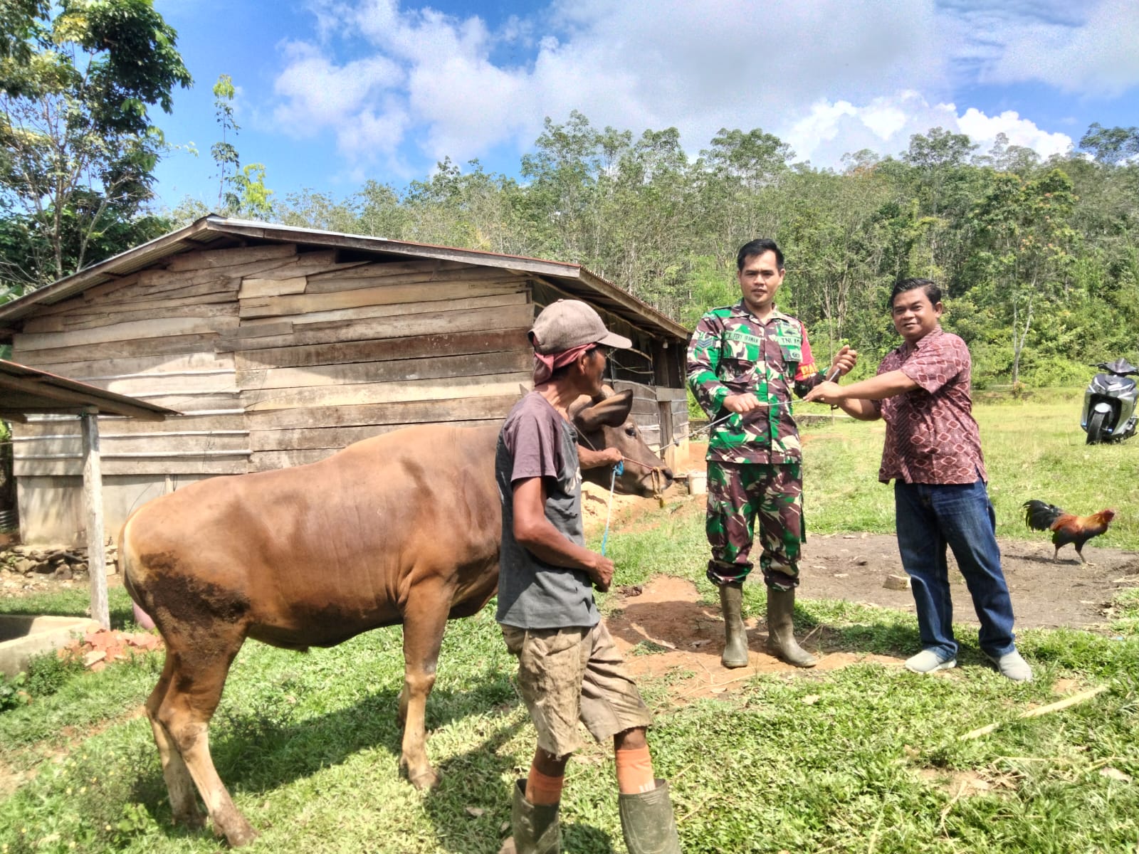 Babinsa Koramil 05/TE, Bantu Warga Matas Saat Penerimaan Sapi Qurban