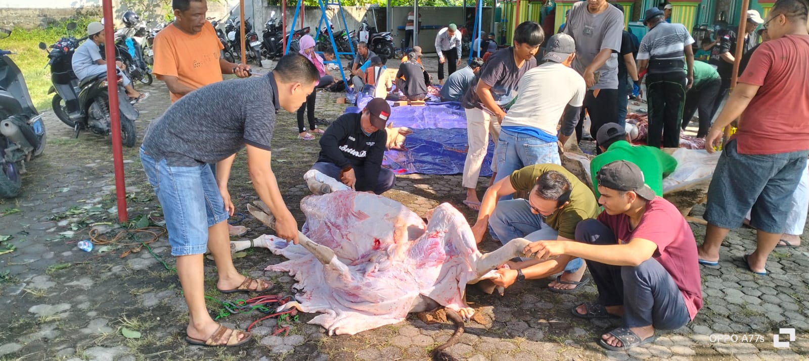 Babinsa Penyandingan Koramil 05/TE, Bantu Warga Pelaksanaan Kurban Idul Adha