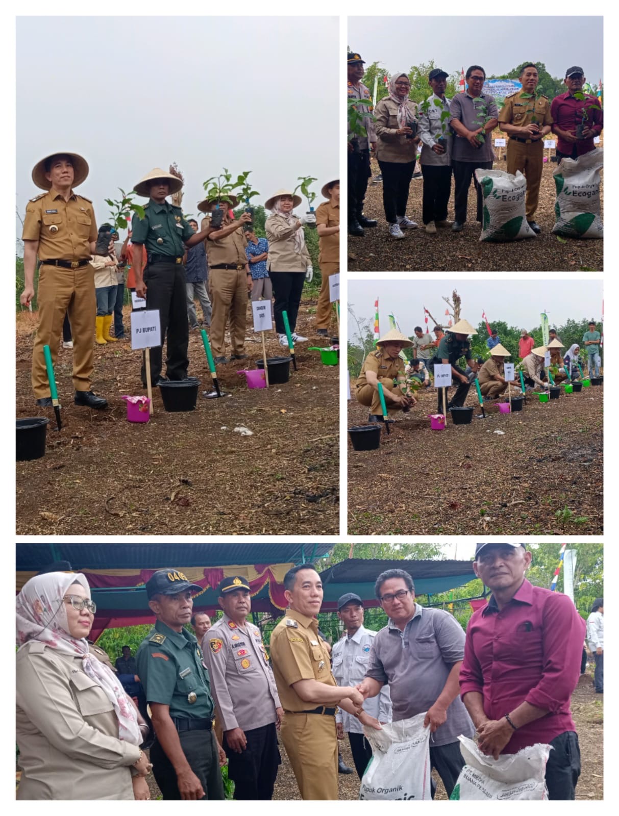 Dinas Perkebunan Lahat Ajak Tanam Kopi Bersama