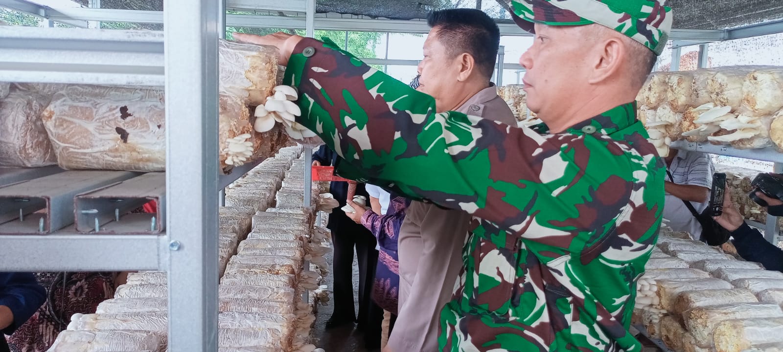 Pelda Decky Hadiri Panen Raya Jamur Tiram Desa Keban Agung