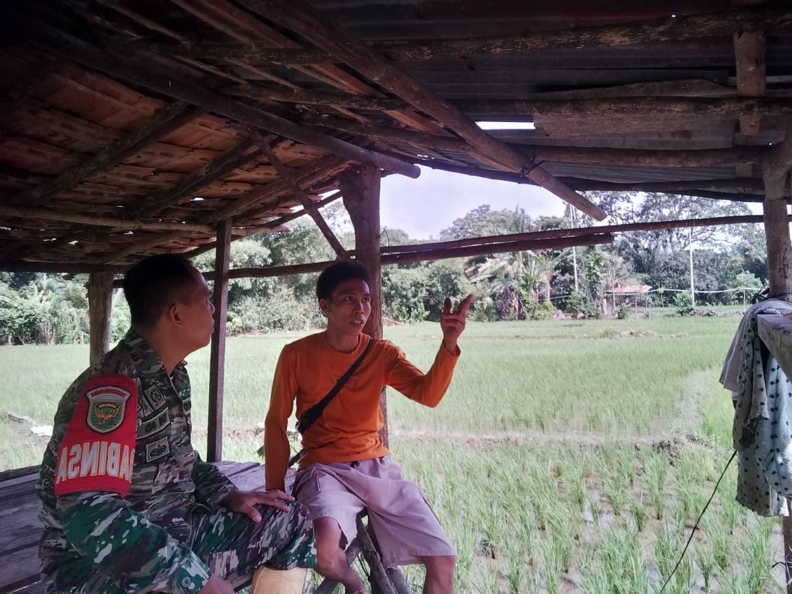 Koptu Suarno Babinsa Lambur Berikan Pendampingan Dan Pantau Perkembangan swasembada
