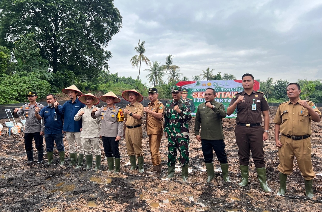 Sinergi dengan Polres Muara Enim, Bukit Asam Turut Mendukung Penanaman Jagung Serentak