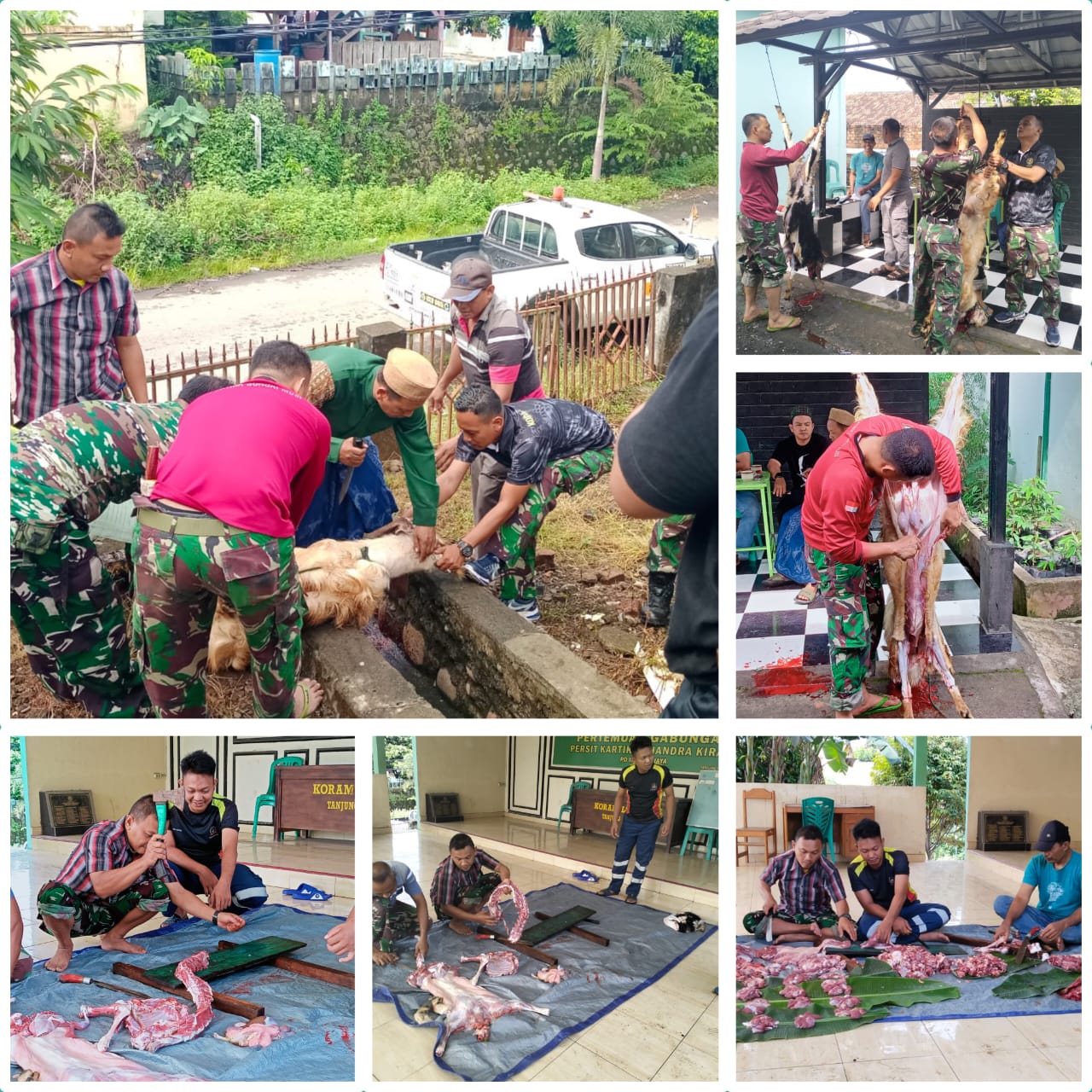 KORAMIL 404-05/TE POTONG 4 EKOR KAMBING PADA IDUL ADHA 1446 H/2025 M