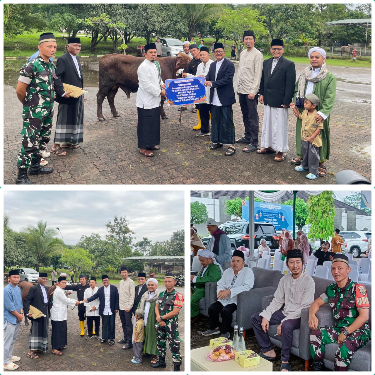BABINSA PASAR TANJUNG ENIM HADIR PENYERAHAN HEWAN KURBAN DAEI PTBA KEPADA MASYARAKAT