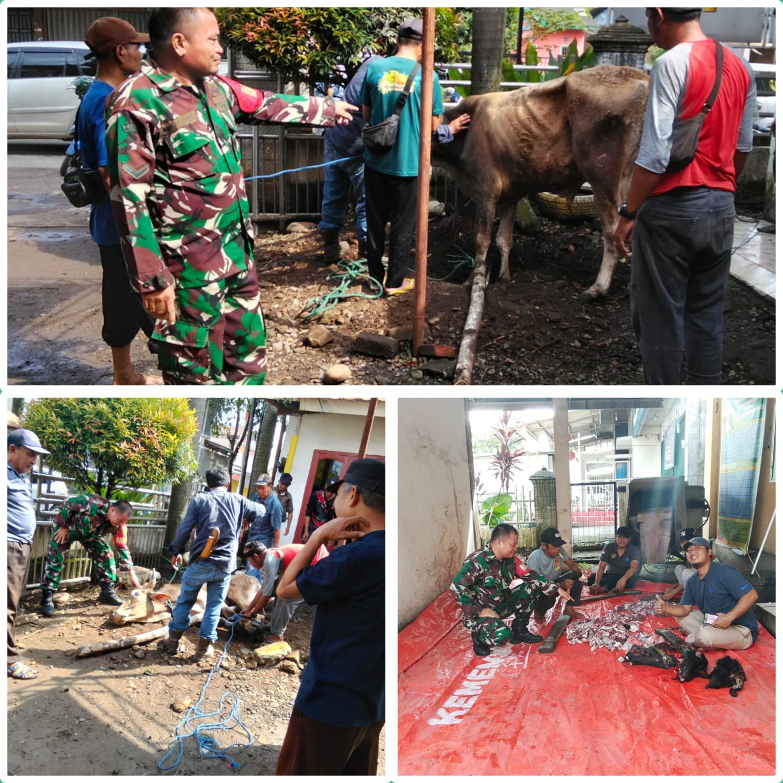 Babinsa Lingga Monitor Pemotongan Qurban