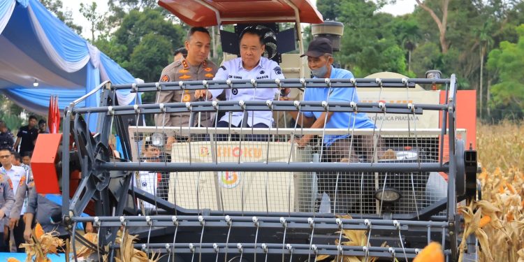 Hadiri Panen Raya Jagung di OKU Selatan, Wagub Cik Ujang Tegaskan Komitmen Sumsel Dukung Ketahanan Pangan Nasional