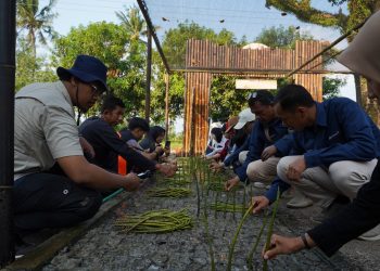 PTBA Resmikan NUSA di Pasir Sakti, Perkuat Rehabilitasi Mangrove Berbasis Masyarakat