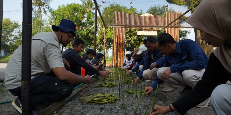 PTBA Resmikan NUSA di Pasir Sakti, Perkuat Rehabilitasi Mangrove Berbasis Masyarakat