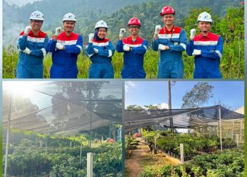 PGE Hijaukan Kawasan Hutan di WKP Lumut Balai, Perkuat Komitmen Pelestarian Lingkungan