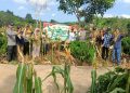 Polsek Tanjung Agung Dampingi Petani Panen Jagung Kuartal II, Dukung Swasembada Pangan Nasional