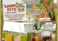 SAUNG KITE HADIRKAN MENU KHAS ALA DUSUN DENGAN VIEW SAWAH DI LAHAT