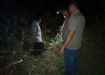CEGAH KARHUTLA, POLSEK GUNUNG MEGANG GERAK CEPAT CEK HOTSPOT DI PADANG BINDU