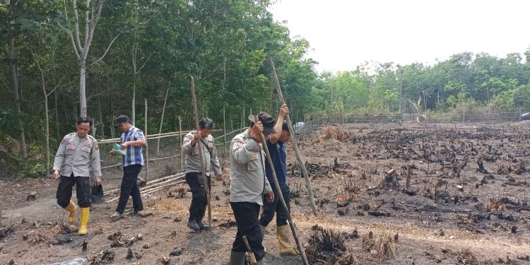 Polsek Gelumbang Bersama Warga Tanam Jagung 2 Hektare, Perkuat Ketahanan Pangan di Desa Pelempang
