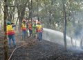 Kebakaran Lahan Belukar di Tegal Rejo Lawang Kidul, Damkar Bersama TNI-Polri dan Warga Bergerak Cepat