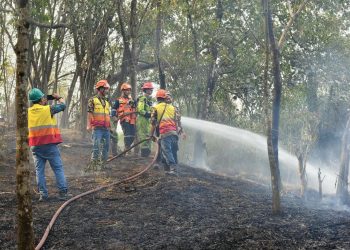 Kebakaran Lahan Belukar di Tegal Rejo Lawang Kidul, Damkar Bersama TNI-Polri dan Warga Bergerak Cepat