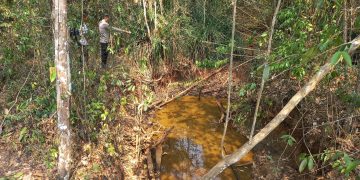 Viral di Medsos, Diduga Beruang Hitam Muncul Dua Hari di Sungai Rambang Muara Enim