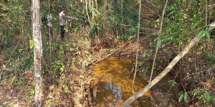 Viral di Medsos, Diduga Beruang Hitam Muncul Dua Hari di Sungai Rambang Muara Enim