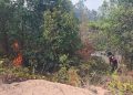 Gerak Cepat Tim Karhutla Muara Enim Berbuah Manis, Api Lahap 1 Hektare Lahan Berhasil Dijinakkan