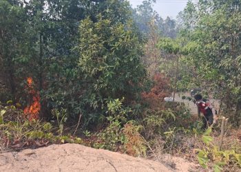 Gerak Cepat Tim Karhutla Muara Enim Berbuah Manis, Api Lahap 1 Hektare Lahan Berhasil Dijinakkan