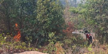Gerak Cepat Tim Karhutla Muara Enim Berbuah Manis, Api Lahap 1 Hektare Lahan Berhasil Dijinakkan