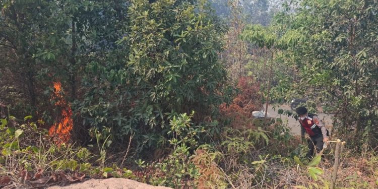 Gerak Cepat Tim Karhutla Muara Enim Berbuah Manis, Api Lahap 1 Hektare Lahan Berhasil Dijinakkan