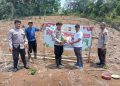 Polsek Semende Darat Laut Tanam Jagung di Lahan 12 Hektare, Dukung Program Ketahanan Pangan