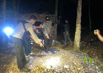 Penganiayaan Maut di Lapak Sawit Aur Duri, Pria 45 Tahun Diamankan Polisi