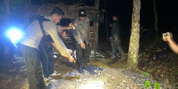 Penganiayaan Maut di Lapak Sawit Aur Duri, Pria 45 Tahun Diamankan Polisi